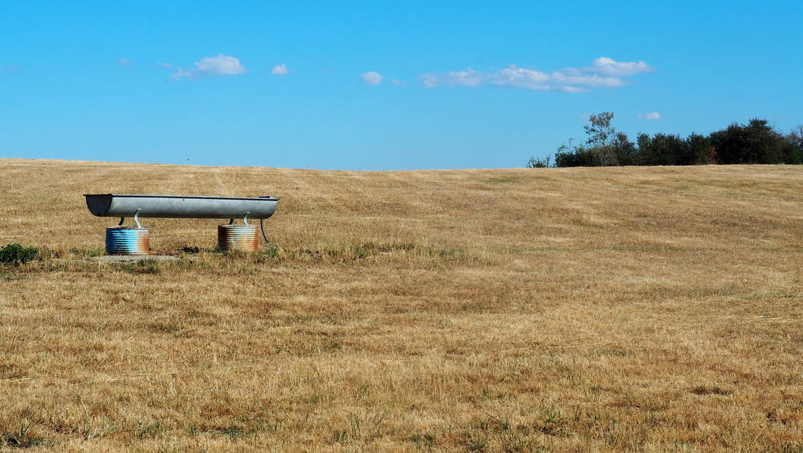 Campagne comtoise