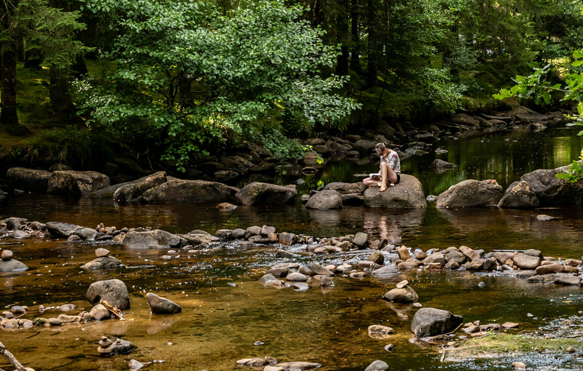 J'ai retrouvé la petite sirène de Copenhague à Bugeat