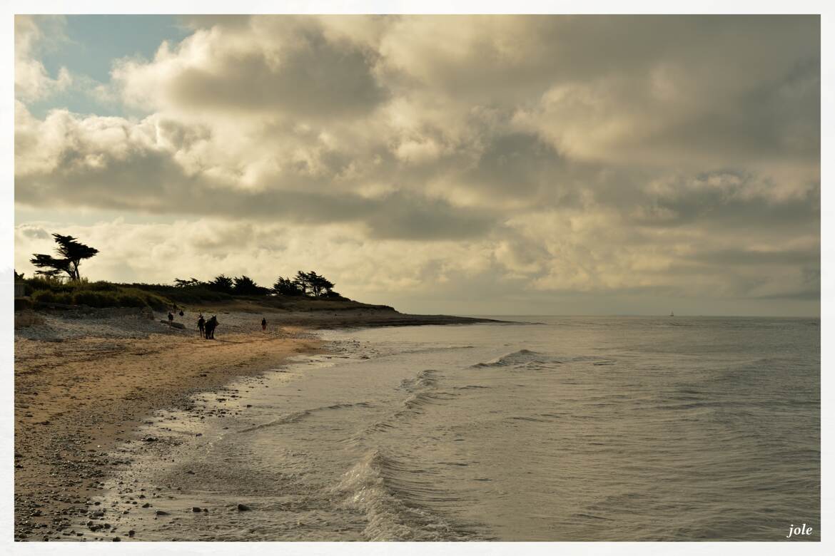 Ile de ré Fin juillet