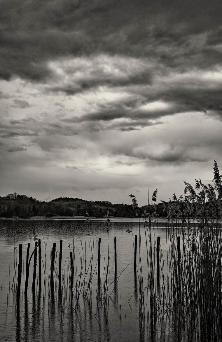 Sous la pluies