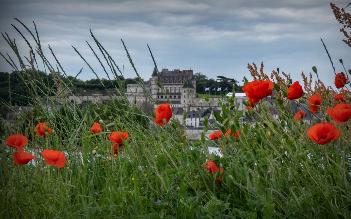 Le Château Royal d Amboise