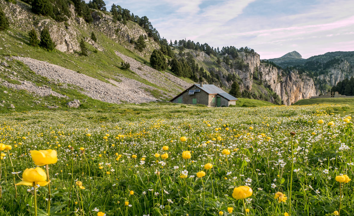 La petite maison dans la prairie