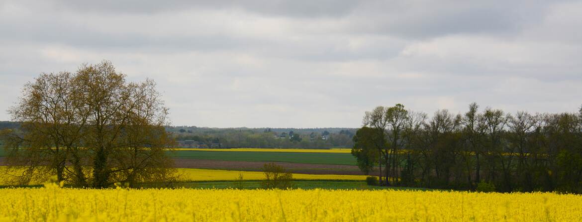 Bandes de couleur