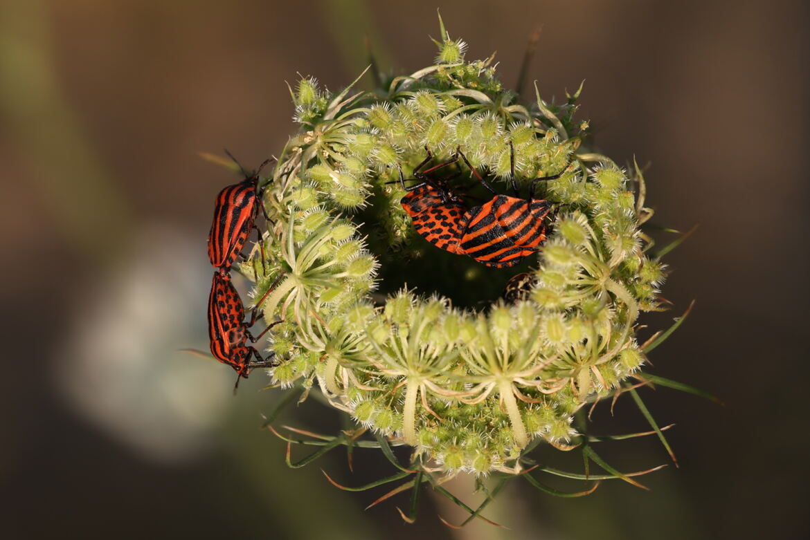Ca y va, là-dessus !