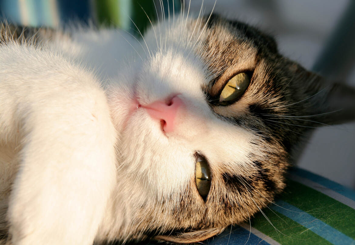 Elle a fermé les yeux en 2025