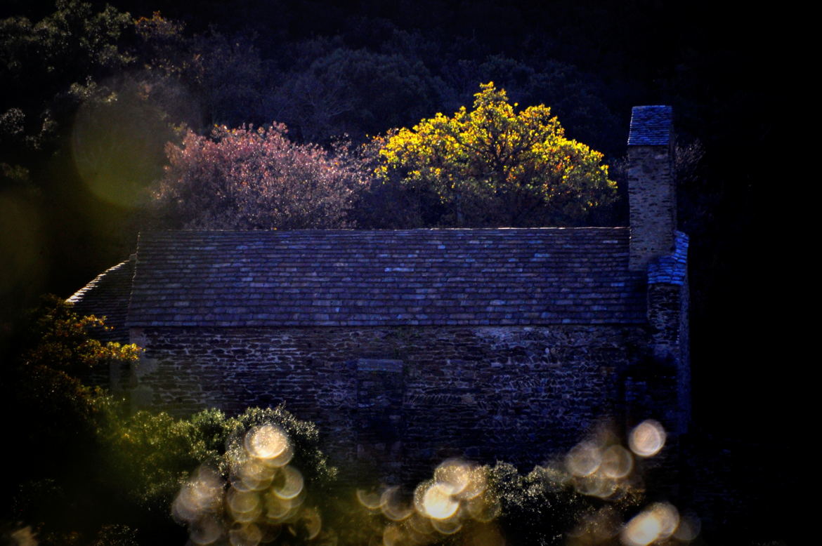 Chapelle Sant Pere del Bosc dans la lumière