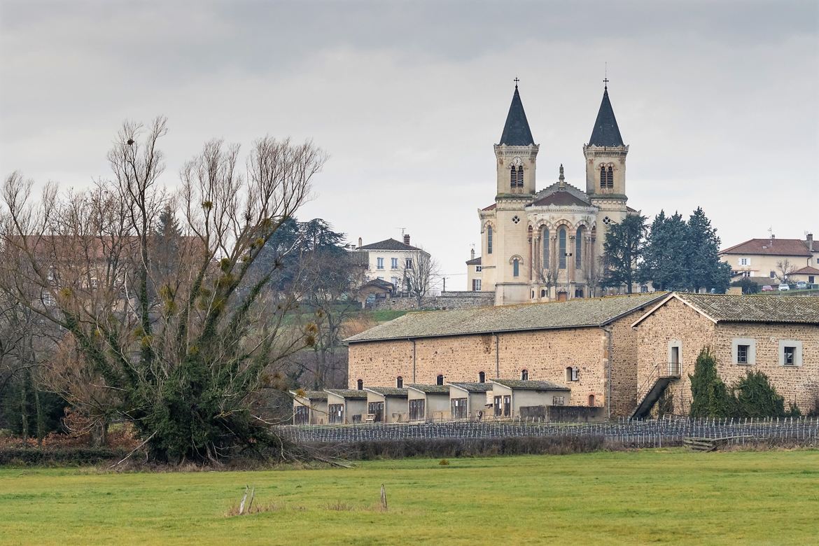 Régnié et les bâtiment du Domaine de la Grange Charton