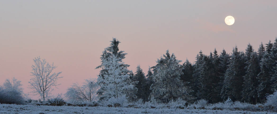 Sur la route du Meygal
