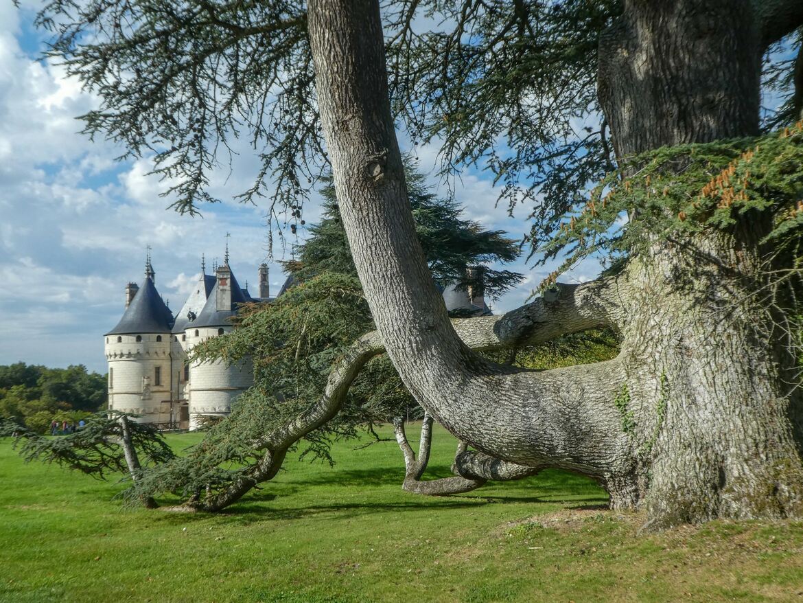 Sa majesté s'étire