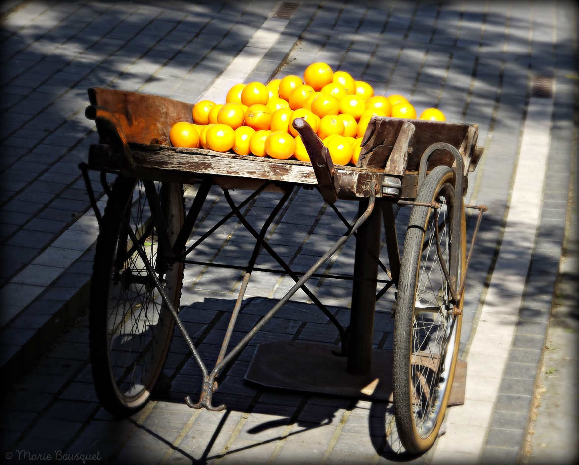 Carriole aux oranges