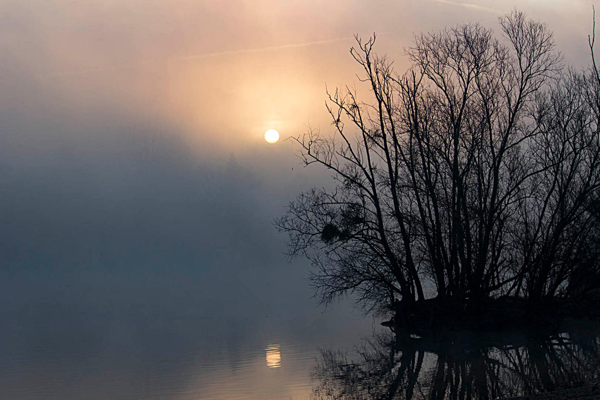 Petit matin sur la Saône