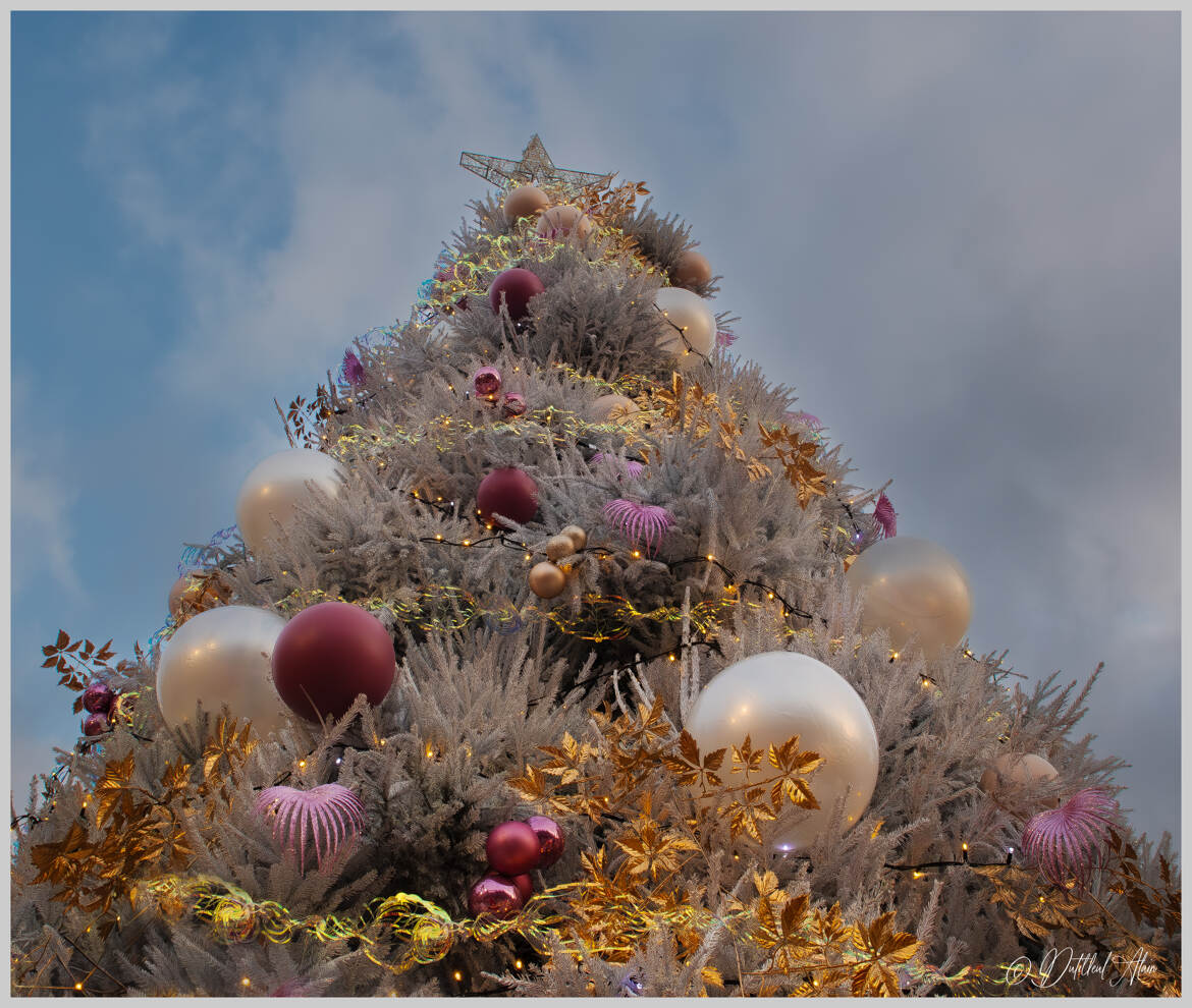 Joyeuse fête de fin d'année à tous..