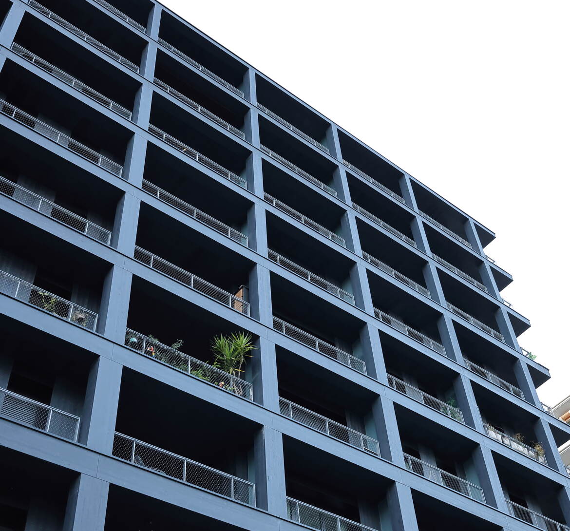 Comme un arbre dans la ville