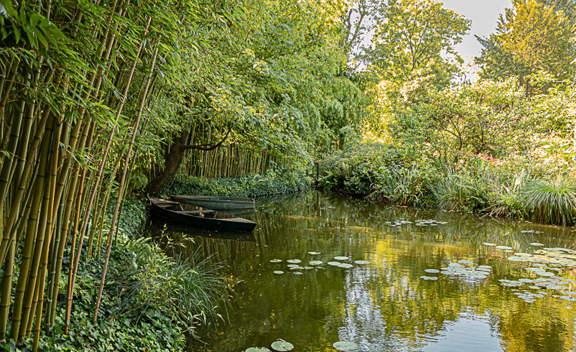 jardin d'eau C. Monet Giverny