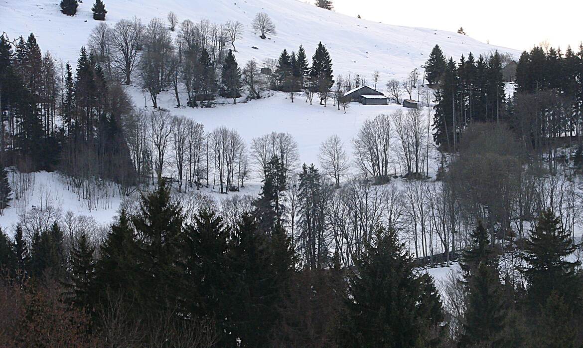 L'heure sans couleur