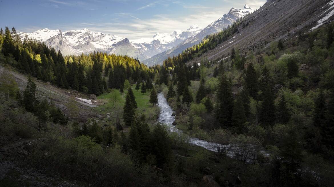 dans la vallée