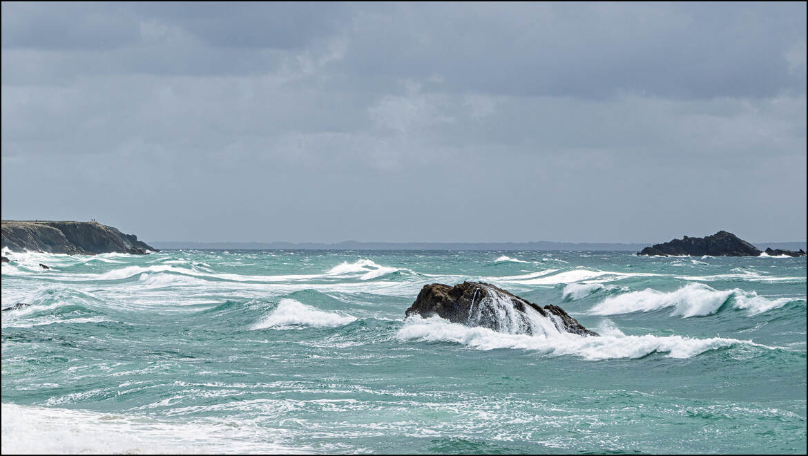 La cote sauvage