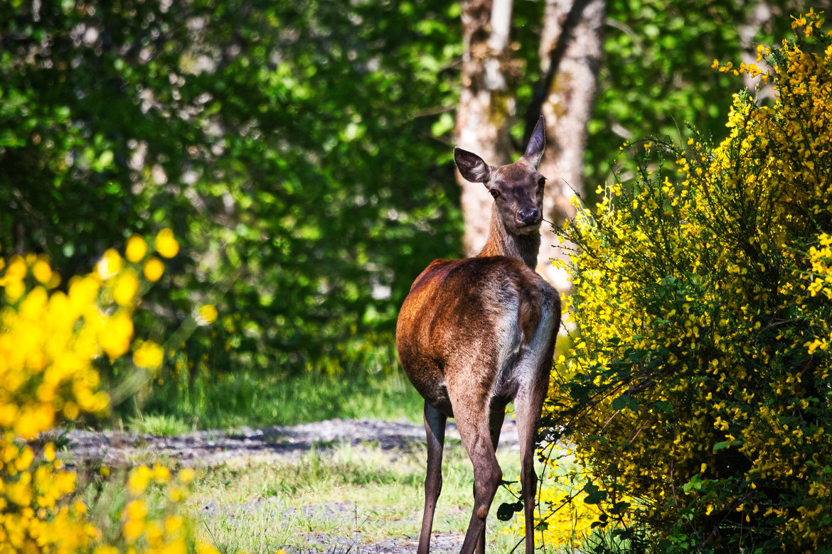 Une belle rencontre