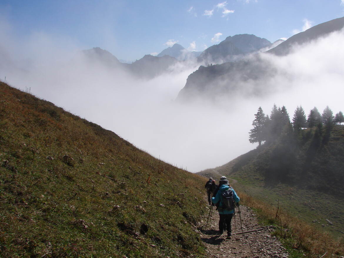 Descente précipitée vers le brouillard