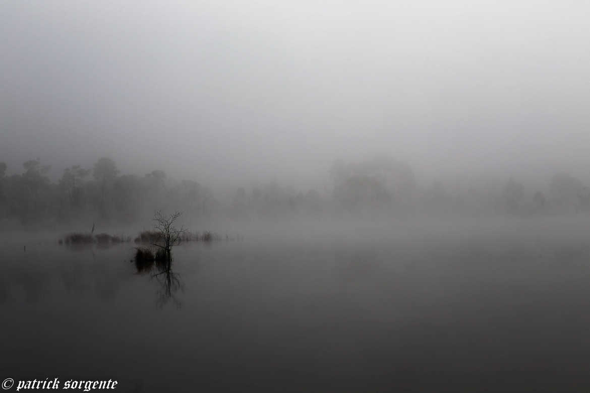 petit matin de brume