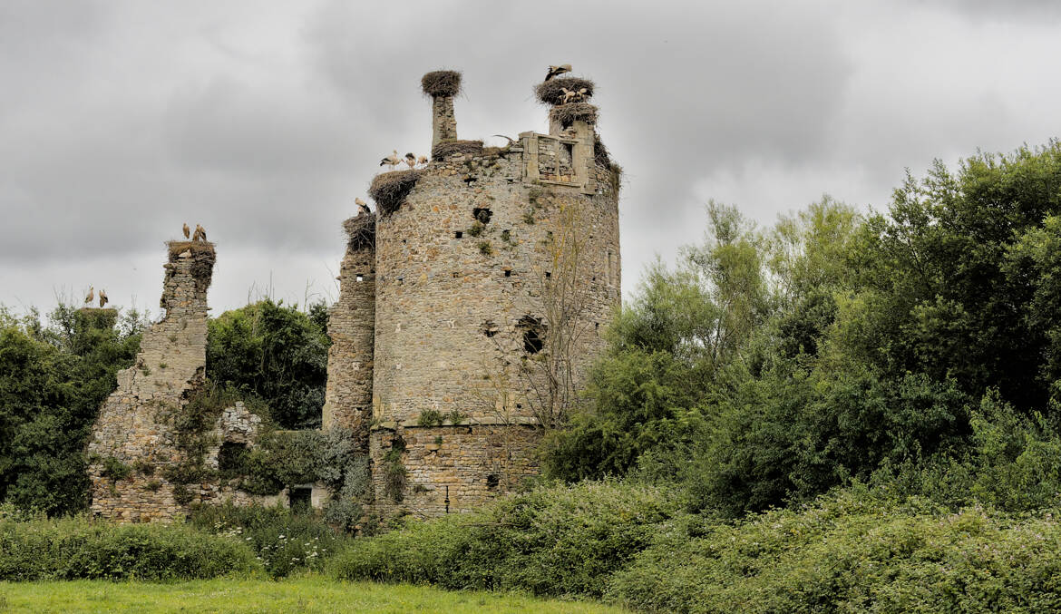 Le château des cigognes (2)