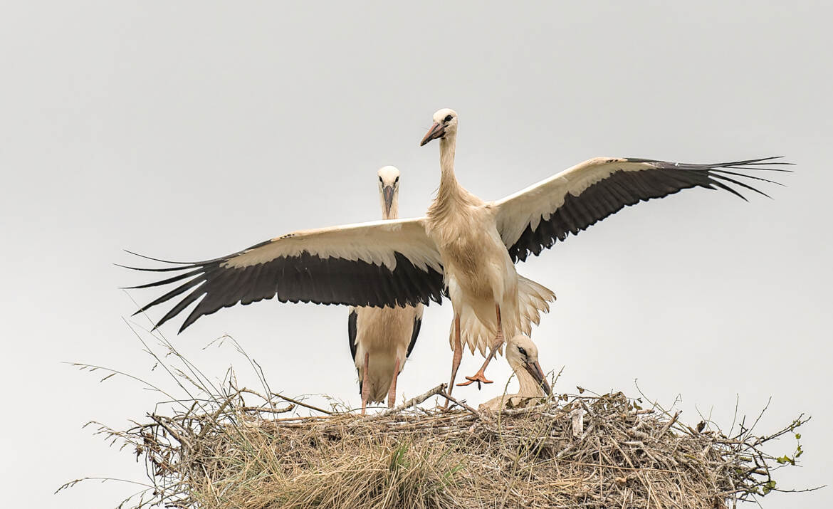 Ça y est je vole ! Enfin presque...