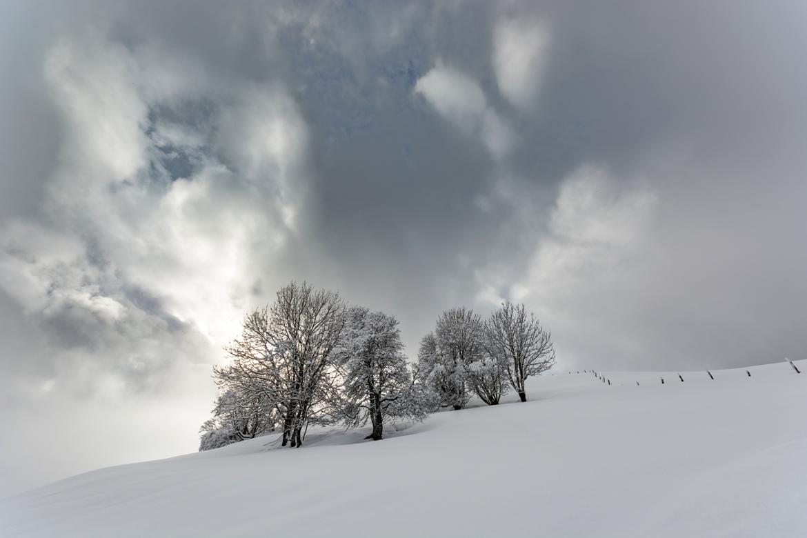 PAYSAGE HIVER