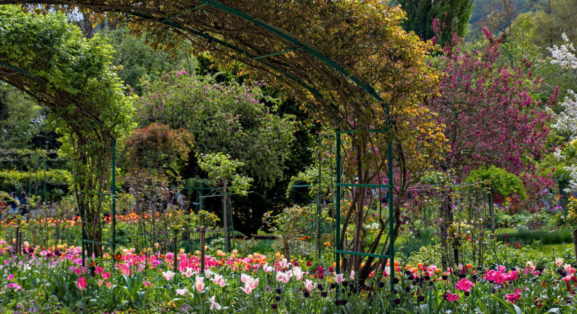 Une impression de Giverny (2)
