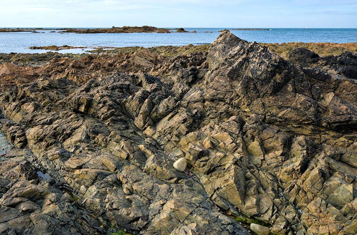 Omonvile la Rogue (8)