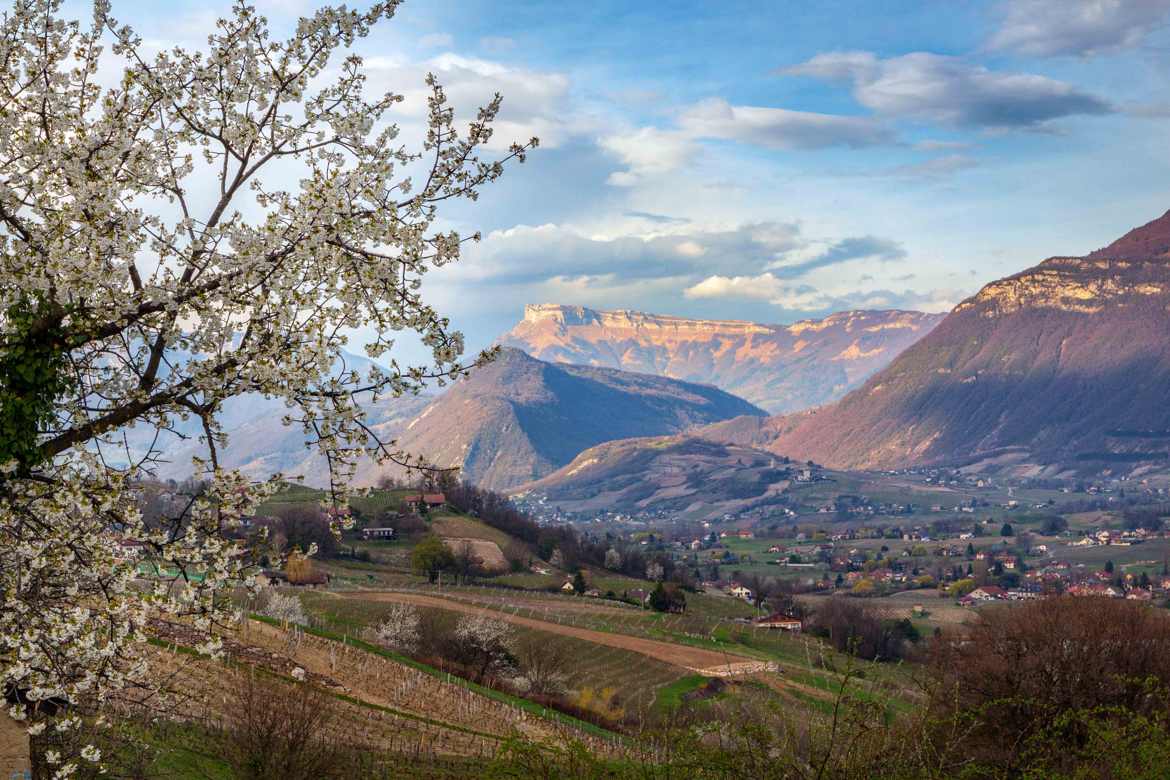 Vu sur le Massif des Bauges