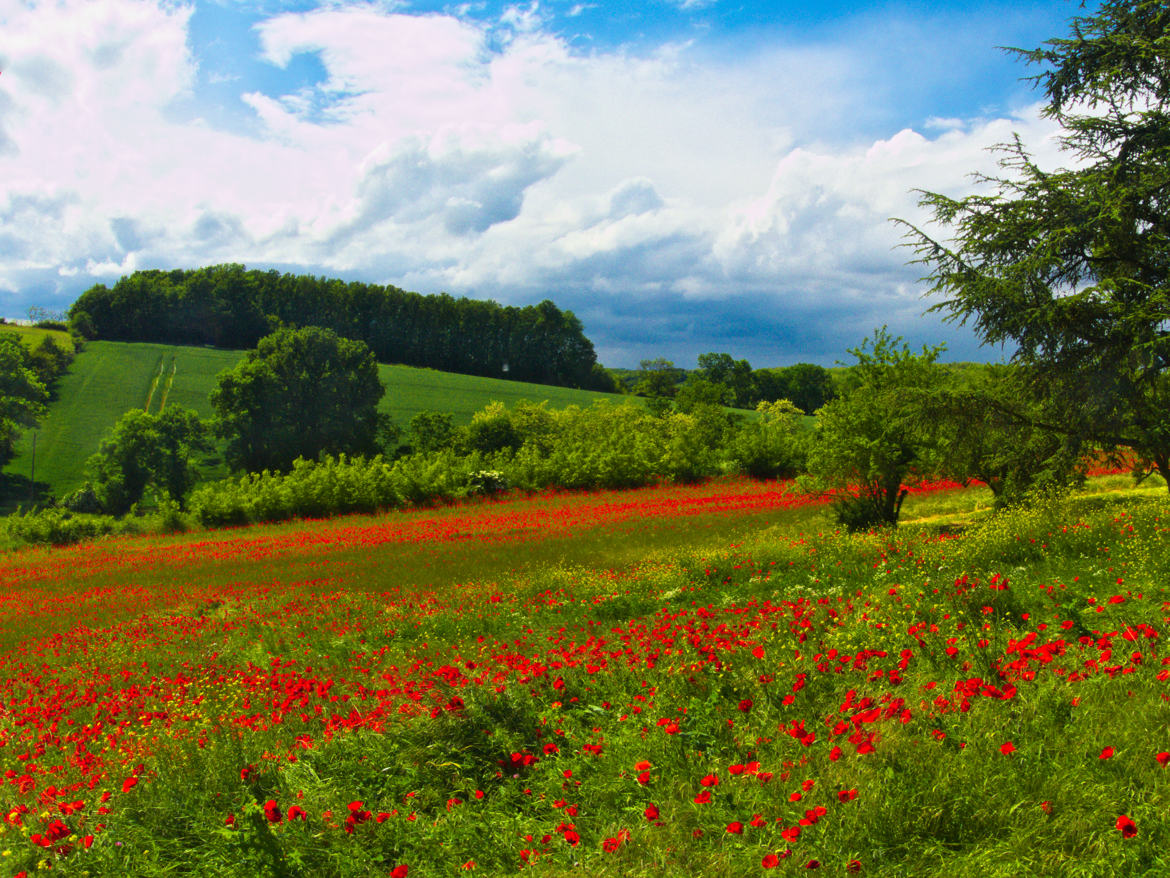 Couleurs de printemps