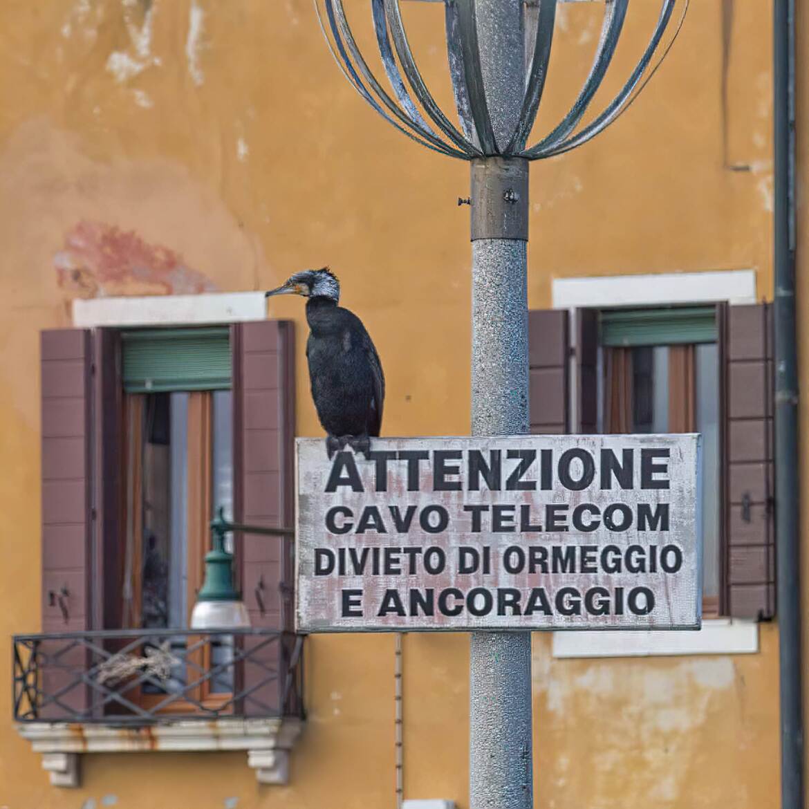 Désolé ,je ne lis pas l'italien !