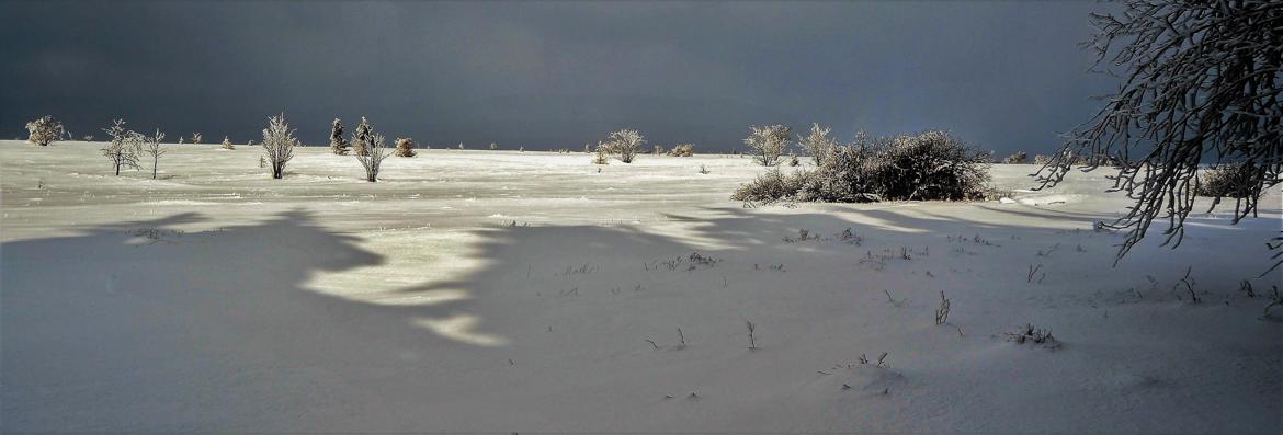 Fagne sous la neige.