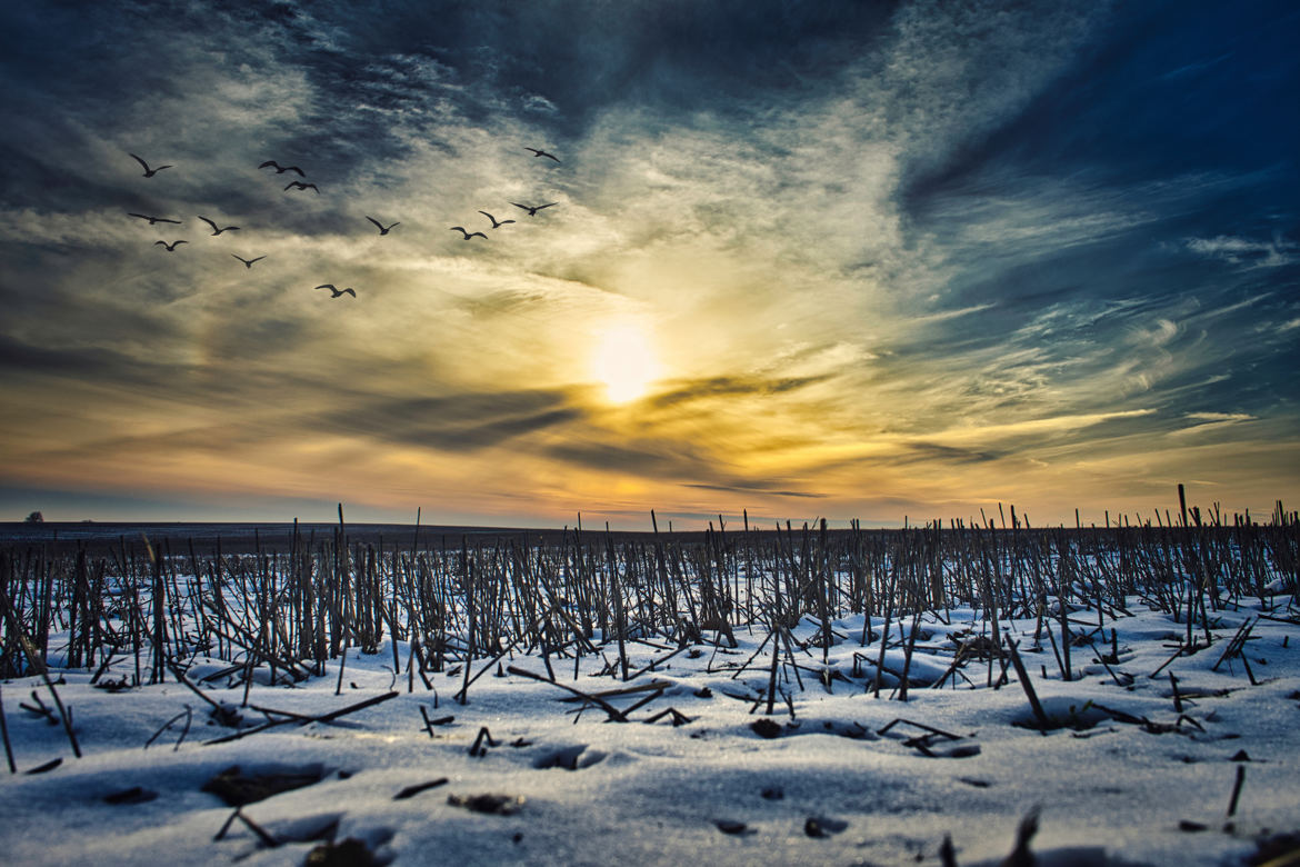 Douceur hivernale