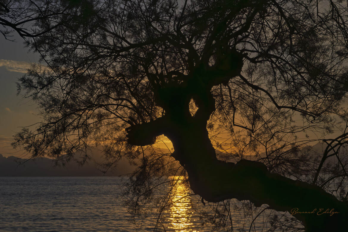 Dernier rayon de soleil
