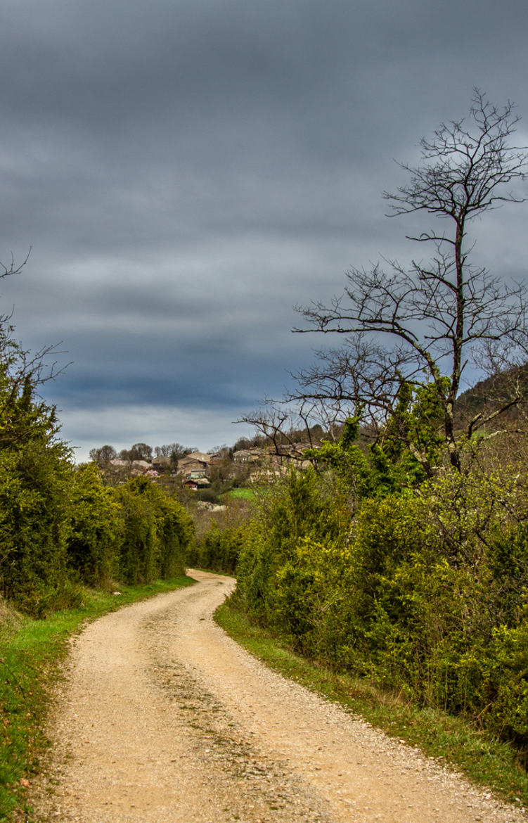 Sur le chemin