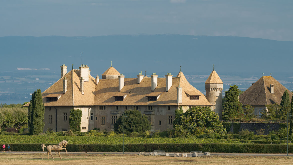 Château de Ripaille