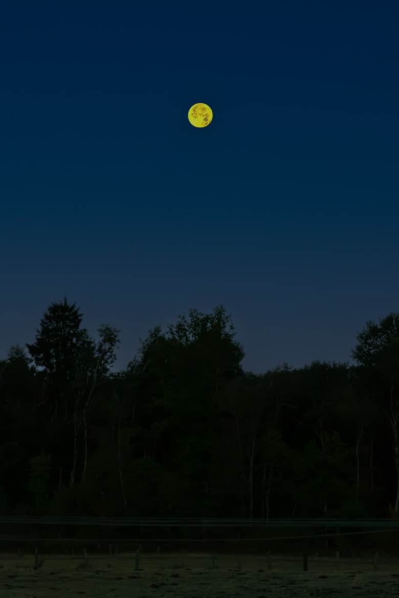 Pleine lune du cerf