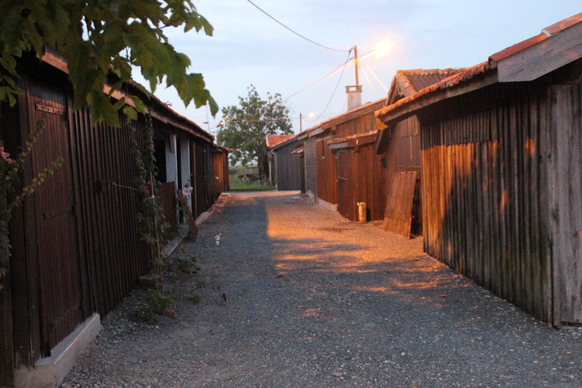 petite cabane