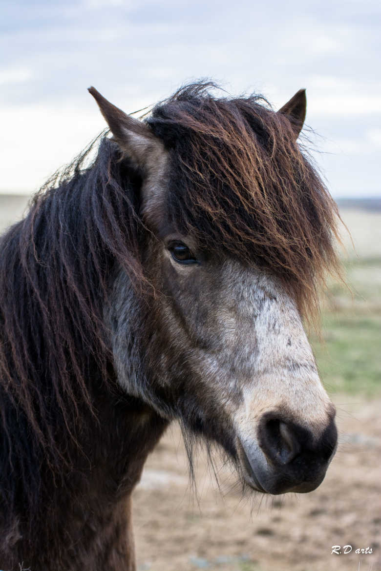 libre et naturelle