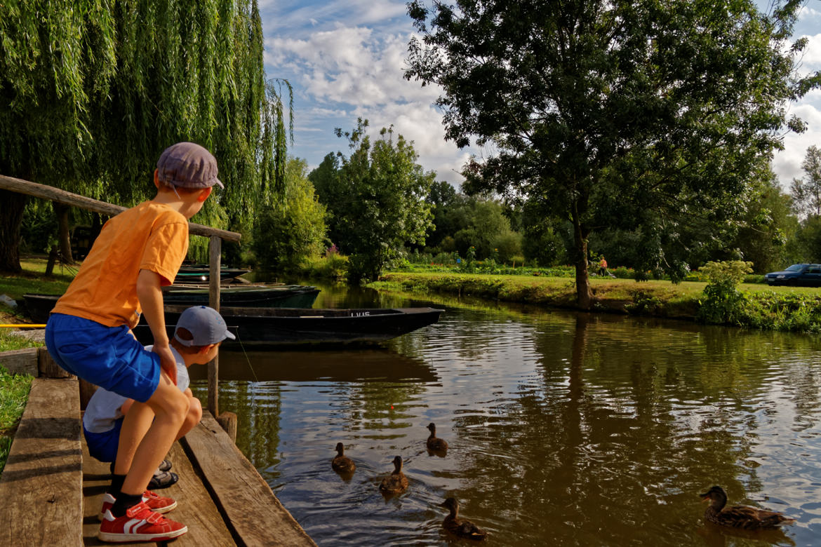 SI j'étais un canard, j'irai patauger avec eux