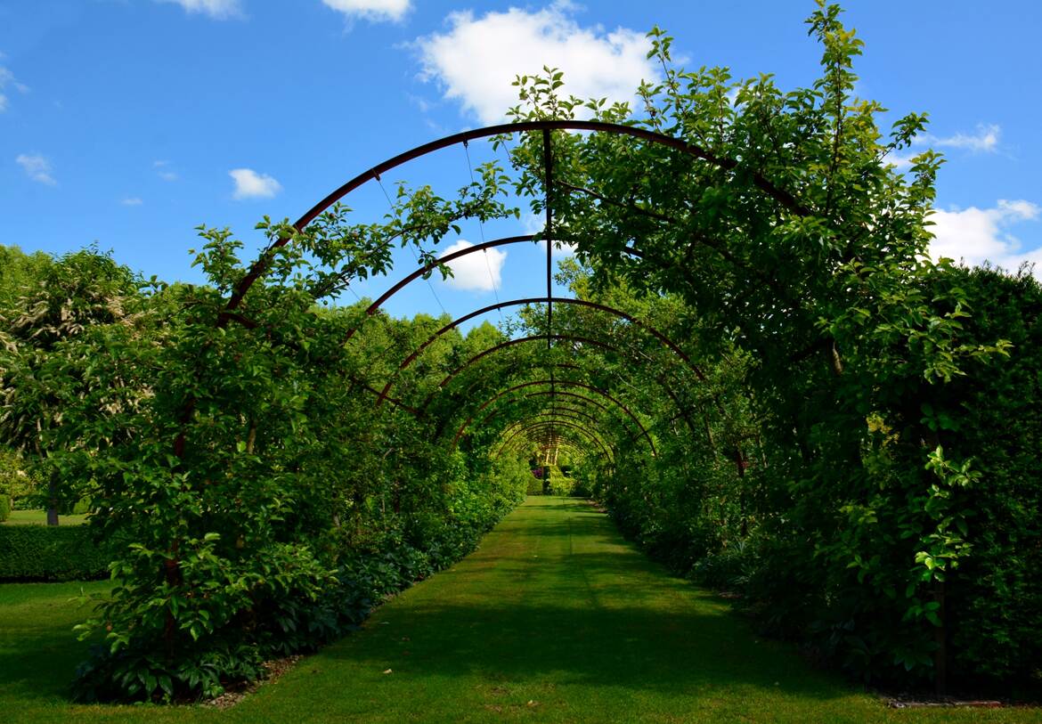 Perspective de verdure