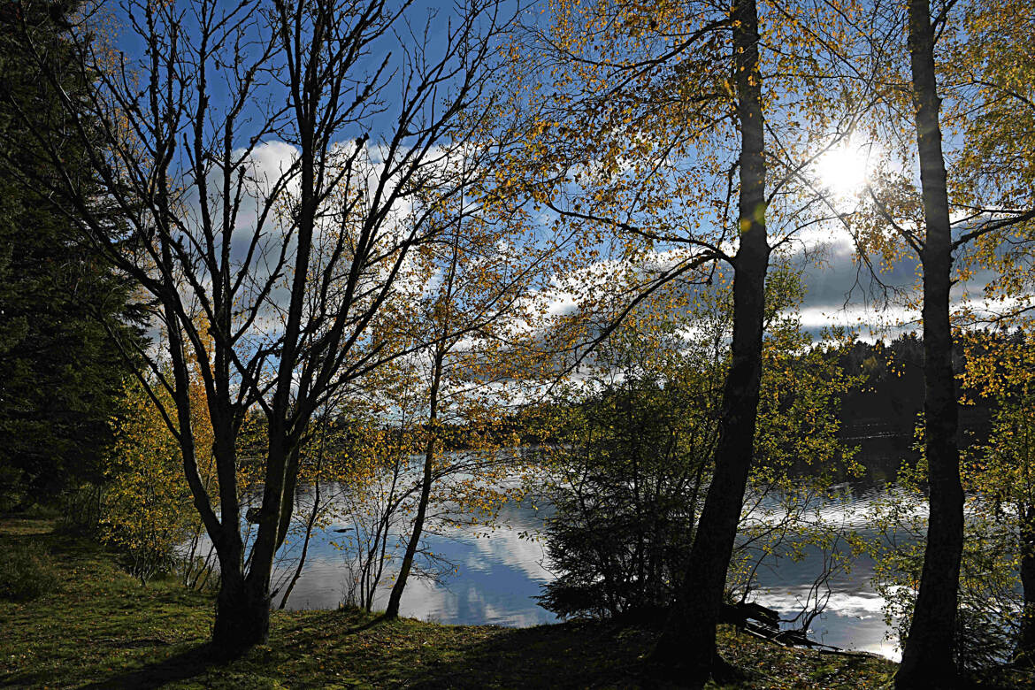 Lac de Devesset (00)