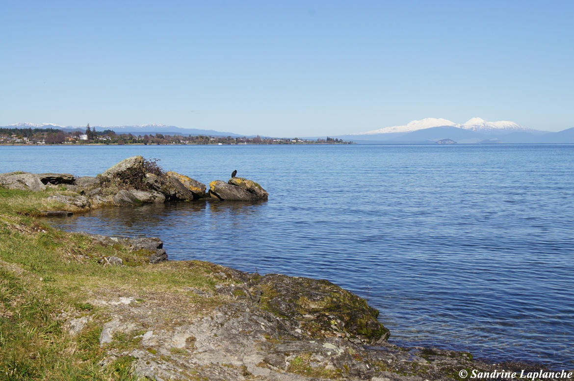 Lake Taupo