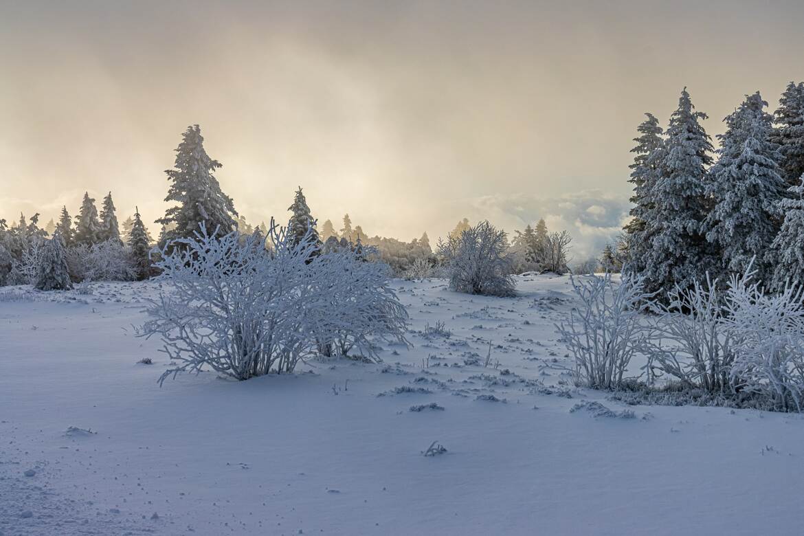 Près du crêt de la Perdrix