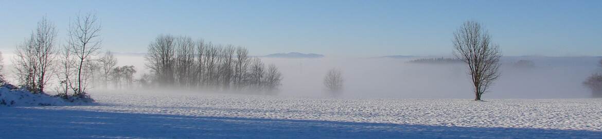 L'hiver sur le plateau