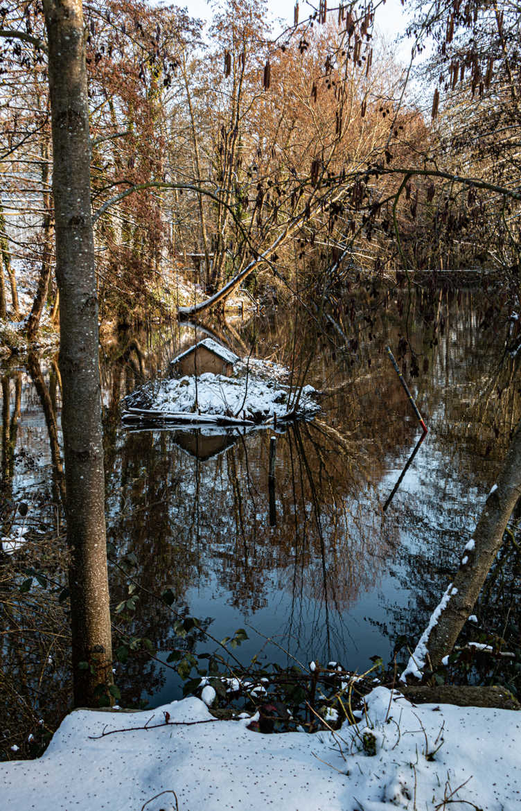 l'ile des canards