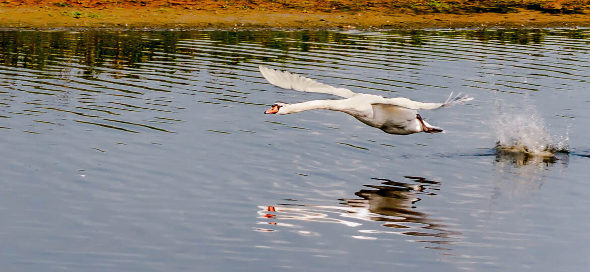 Et plouf c'est parti.