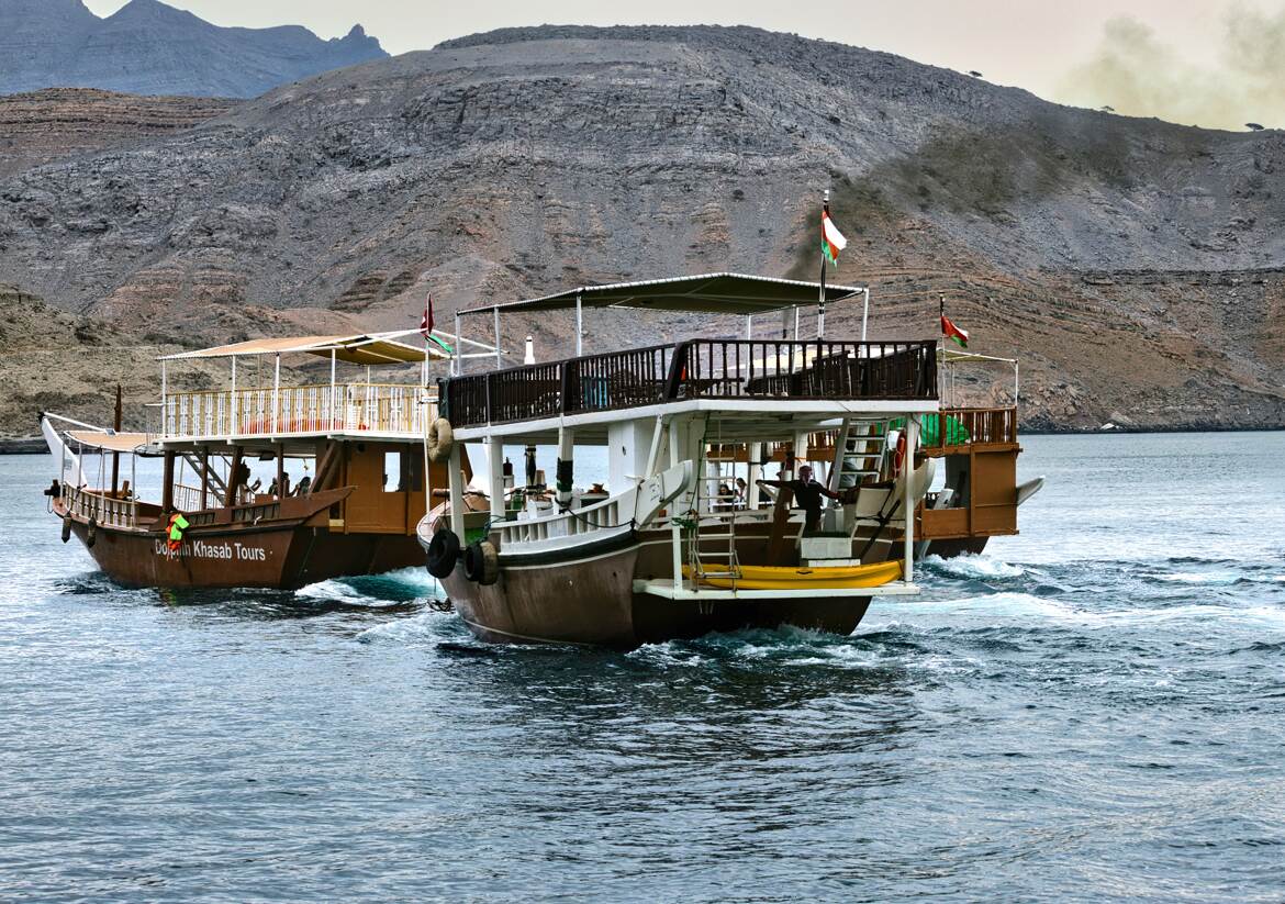 Rencontre avec les dauphins !