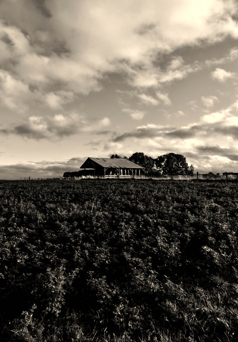 Ruralité monochrome